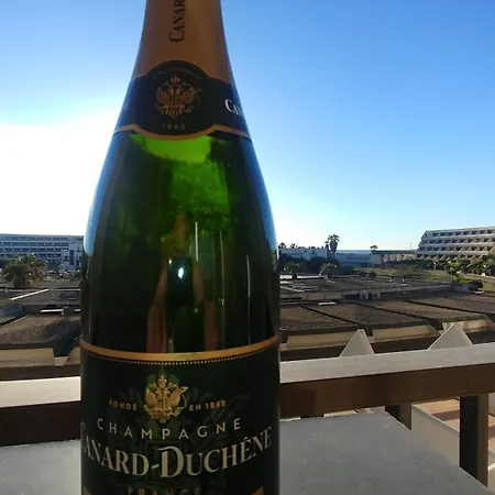 Double Avec Separee - Village Naturiste Heliopolis Cap D'agde شقة آجد